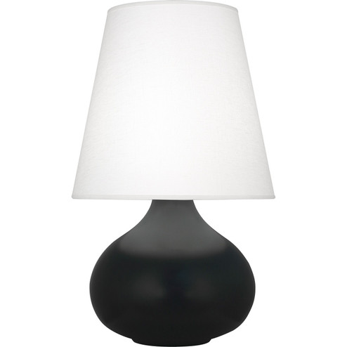 Small June One Light Accent Lamp in Matte Obsidian Glazed Ceramic (165|MOS93)