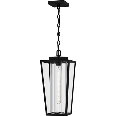 Jett One Light Outdoor Hanging Lantern in Matte Black (10|JET1909MBK)