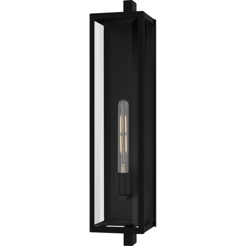 Dale One Light Outdoor Wall Lantern in Matte Black (10|DLE8406MBK)