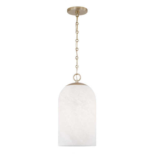 Cleo One Light Pendant in Matte Brass (65|355811MA-553)