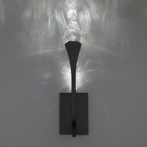 Plumeria LED Outdoor Wall Mount in Black (529|BWSW25523-BK)