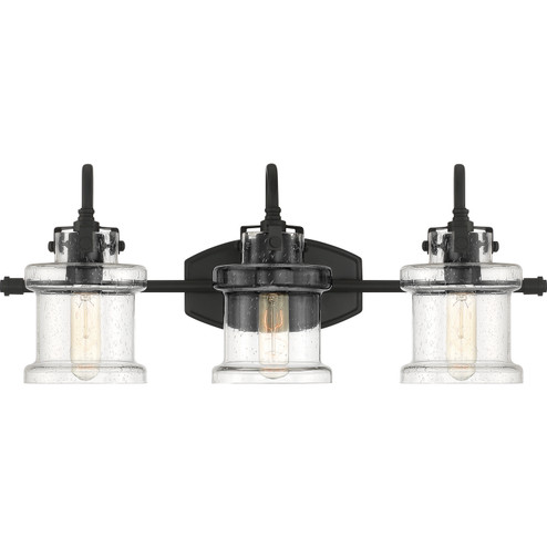 Danbury Three Light Bath Fixture in Earth Black (10|DNY8603EK)