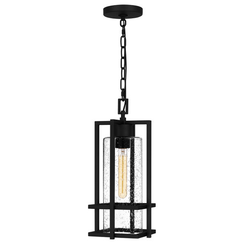 Damien One Light Outdoor Hanging Lantern in Earth Black (10|DMN1907EK)