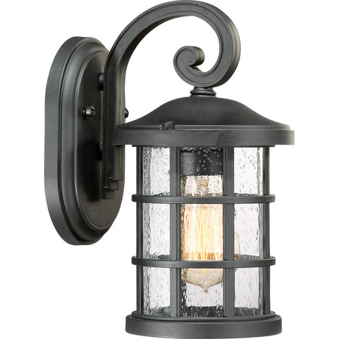 Crusade One Light Outdoor Wall Lantern in Earth Black (10|CSE8406EK)