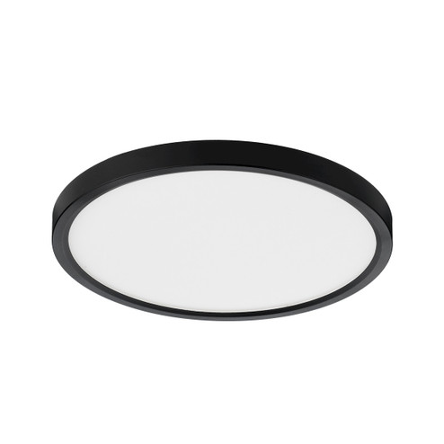 Slim Fit Slim Fit 9'' in Black (303|SL9-5CCT-BK)
