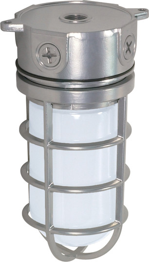 One Light Ceiling Mount in Metallic Silver (72|SF76-624)