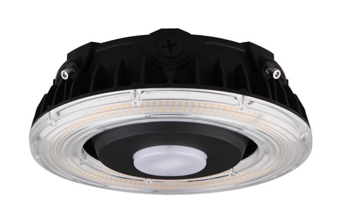 LED Canopy Fixture in Bronze (72|65-624)