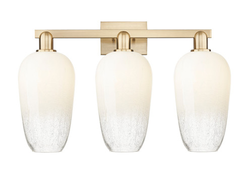 Arcadia Three Light Bath Vanity in Champagne Bronze (405|716-3W-CB-G484-7OP)
