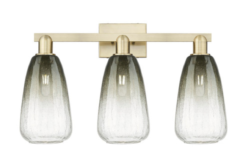 Arcadia Three Light Bath Vanity in Antique Brass (405|716-3W-AB-G480-6SL)