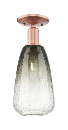 Arcadia One Light Semi-Flush Mount in Antique Copper (405|716-1C-AC-G480-6SL)