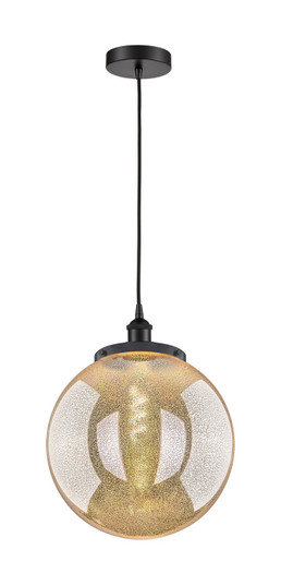 Edison One Light Mini Pendant in Matte Black (405|616-1PH-BK-G208-14)
