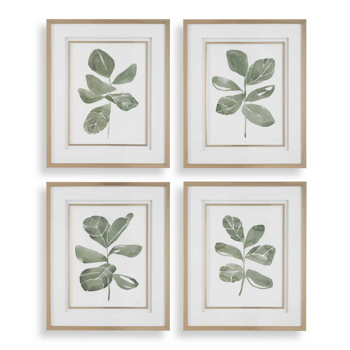 Fiddle Head Prints Set/4 in Golden (52|32454)