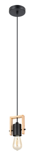 Plimsoll One Light Pendant in Black & Wood (217|205655A)