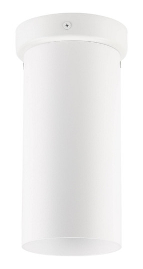 Tortoreto One Light Ceiling Mount in White (217|204899A)