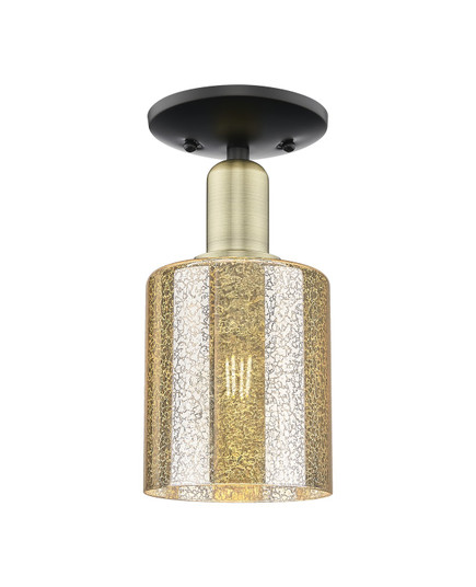Arcadia One Light Semi-Flush Mount in Black Antique Brass (405|716-1C-BAB-G116)