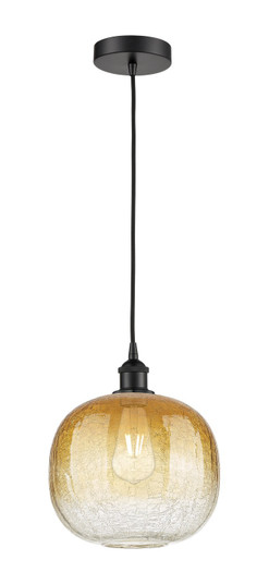 Edison One Light Mini Pendant in Matte Black (405|616-1P-BK-G481-10AM)