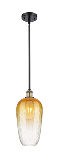 Ballston One Light Mini Pendant in Black Antique Brass (405|516-1S-BAB-G484-7AM)