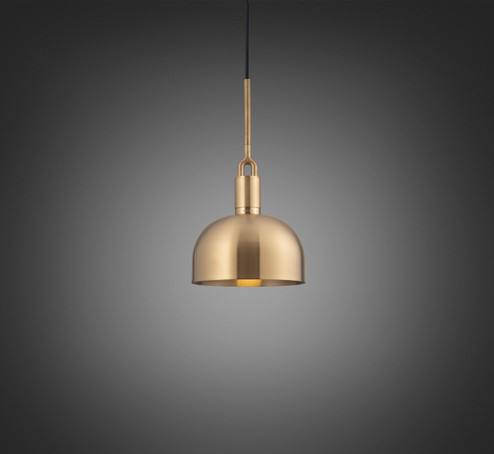 LED Pendant in Brass (576|NFP-813167)