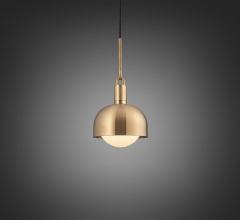 LED Pendant in Brass (576|NFP-813163)