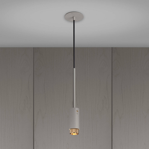 LED Spotlight in Brass (576|NEIG-253948)