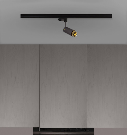 LED Spotlight in Brass (576|NEIG-184045)