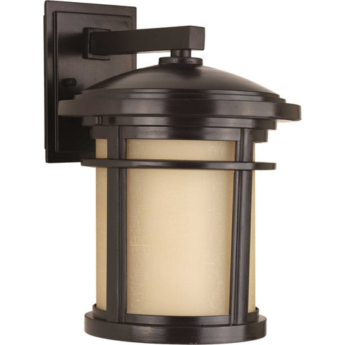 Wish One Light Wall Lantern in Antique Bronze (54|P6085-20)