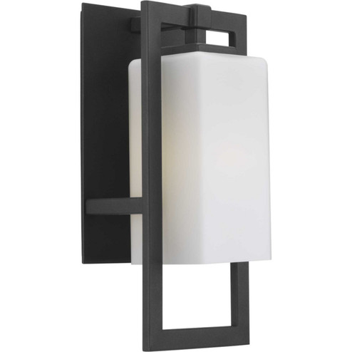 Jack One Light Wall Lantern in Black (54|P5948-31)