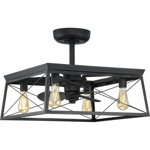 Briarwood 22'' Ceiling Fan in Matte Black (54|P250067-31M-WB)