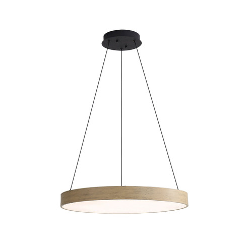Anello LED Pendant in Driftwood (62|4963-24 DW)