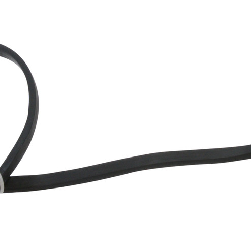 Festoon Festoon String Light Electrical Cable in Black (303|LFS-CABLE)
