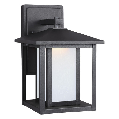 Hunnington LED Outdoor Wall Lantern in Black (1|8902997S-12)