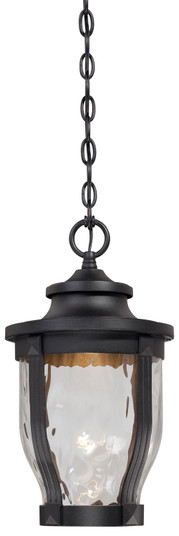 Merrimack LED Outdoor Chain Hung in Black (7|8764-66-L)