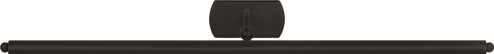 Lamont LED Picture Light in Aged Iron | Aged Iron (454|CW1411AI)