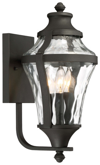 Libre Three Light Outdoor Wall Lamp in Black (7|72562-66)