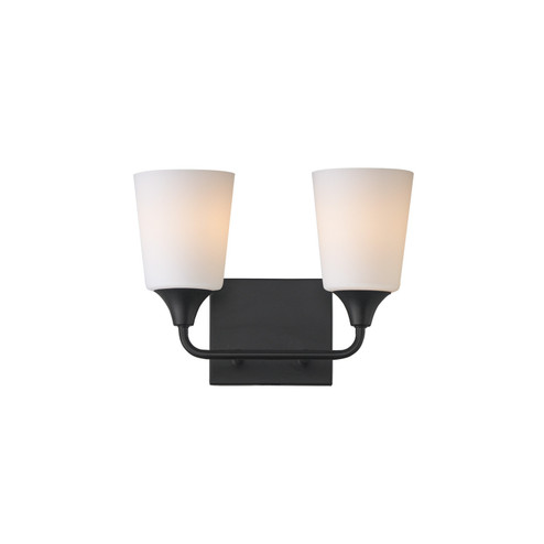Hudson Two Light Bath Vanity in Black (16|12882SWBK)