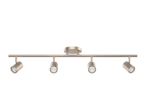 Pipe LED Fixed Rail in Brushed Nickel (34|TK-260504-CS-BN)