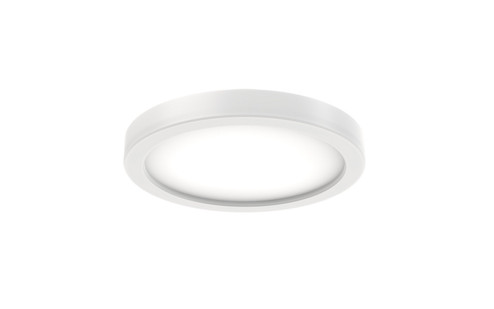 Ronan LED Light Kit in White (110|F-1060 LKO-WH)