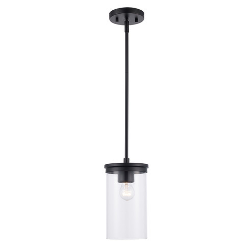 Carter One Light Pendant in Black (110|72040 BK)