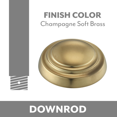 Down Rod in Champagne Soft Brass (15|DR548-CSBR)