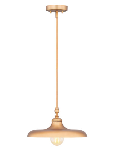 Camden One Light Pendant in Rubbed Brass (224|2308P14-RB)