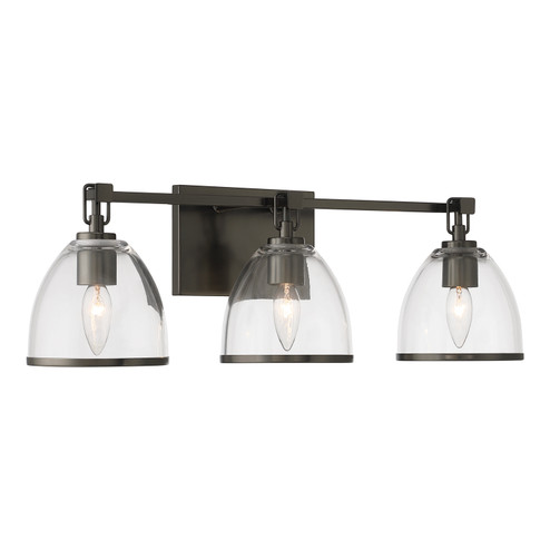 Wynnfrost Three Light Vanity in Rustic Gun Metal (7|15023-749)