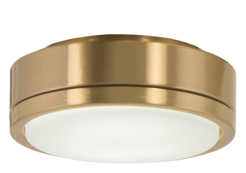 Rudolph LED Light Kit in Brushed Brass (15|K9727L-BBR)
