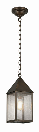 Ashford One Light Pendant in Dark Brass (405|9522-DB-SDY)