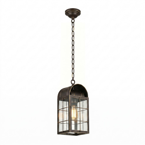 Durham One Light Pendant in Bronze (405|9122-H-BZ-CL)