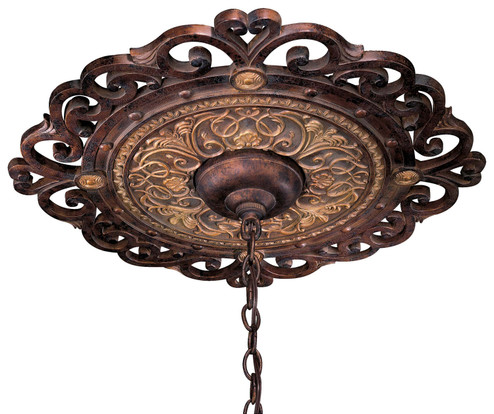 Zaragoza Ceiling Medallion in Golden Bronze (29|N5231-355)