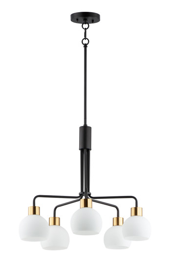 Coraline Five Light Chandelier in Bronze / Satin Brass (16|11277SWBZSBR)