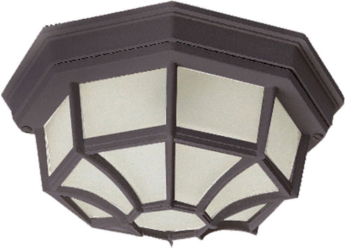 Crown Hill Two Light Outdoor Ceiling Mount in Rust Patina (16|1020RP)