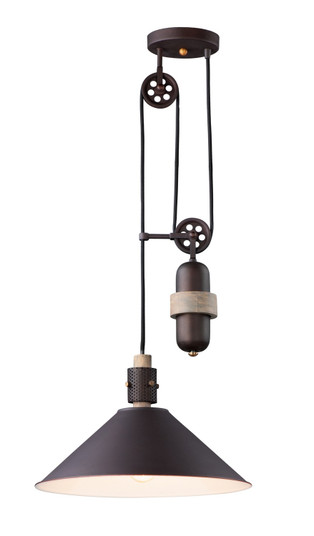 Tucson One Light Pendant in Oil Rubbed Bronze / Weathered Wood (16|10090OIWWD)
