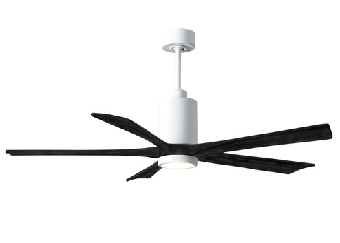 Patricia-5 60'' Ceiling Fan in Gloss White (101|PA5-WH-BK-60)