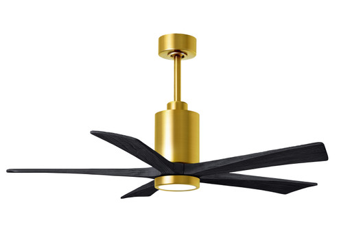 Patricia-5 52'' Ceiling Fan in Brushed Brass (101|PA5-BRBR-BK-52)